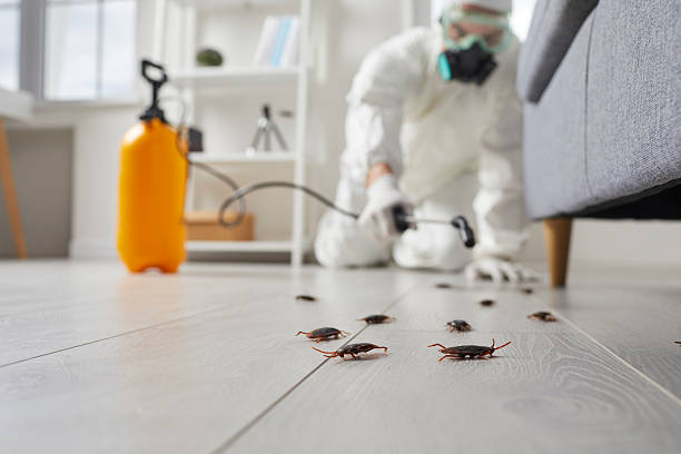 Post-Treatment Bed Bug Interceptor Monitoring in Oologah
